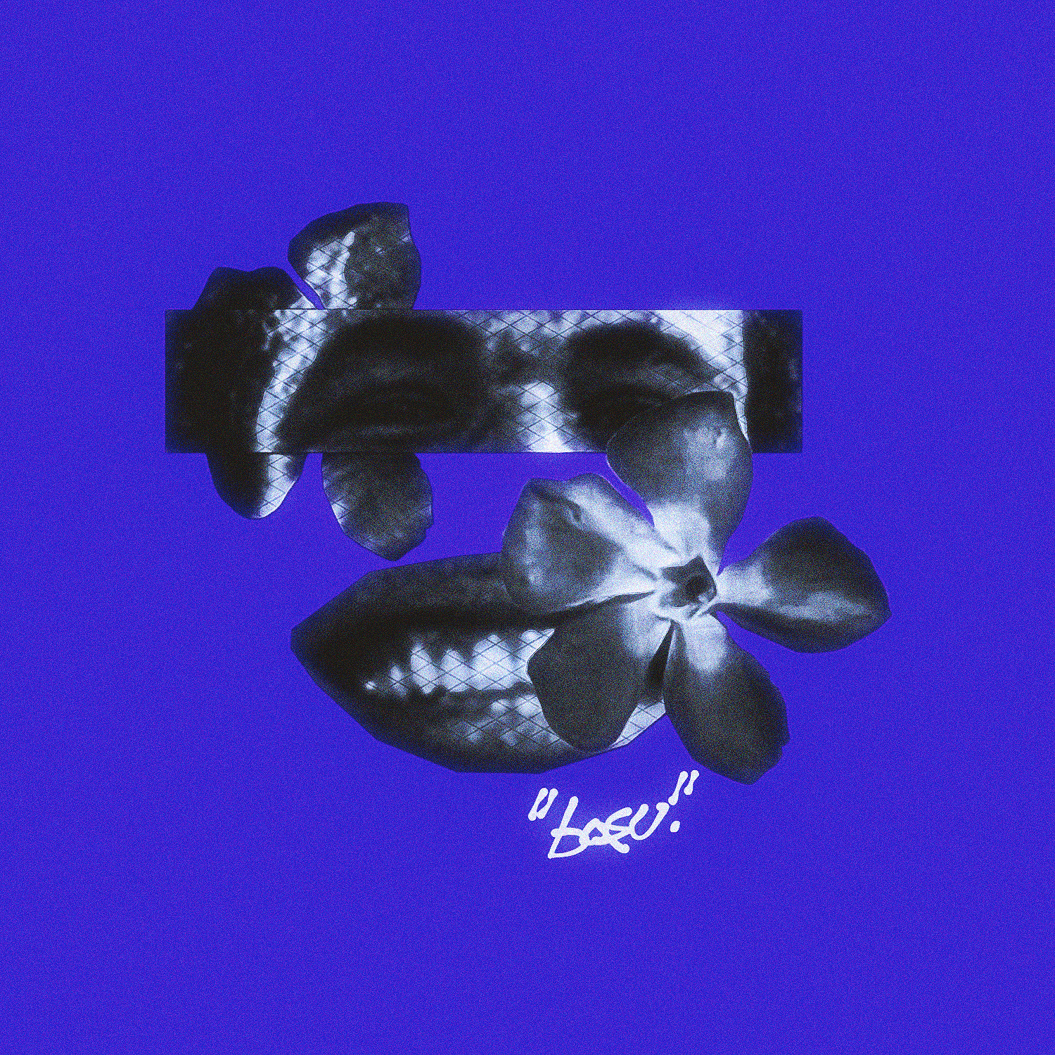 basu